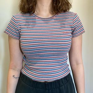 Dickies small crop top
